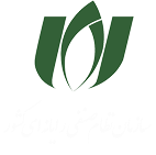 سازمان نظام صنفی رایانه ای کشور